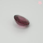 NATURAL RHODOLITE GARNET | 3.15 CT | PINK RED | ROUND