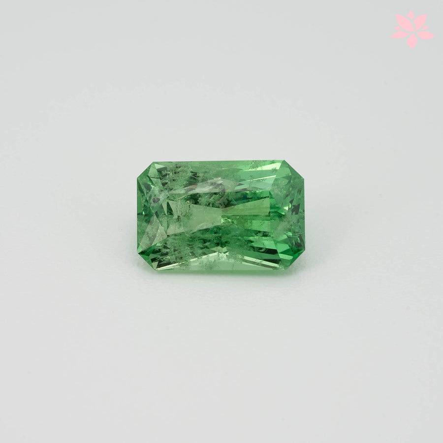 NATURAL TSAVORITE | 1.98 CT | GREEN | OCTAGONAL