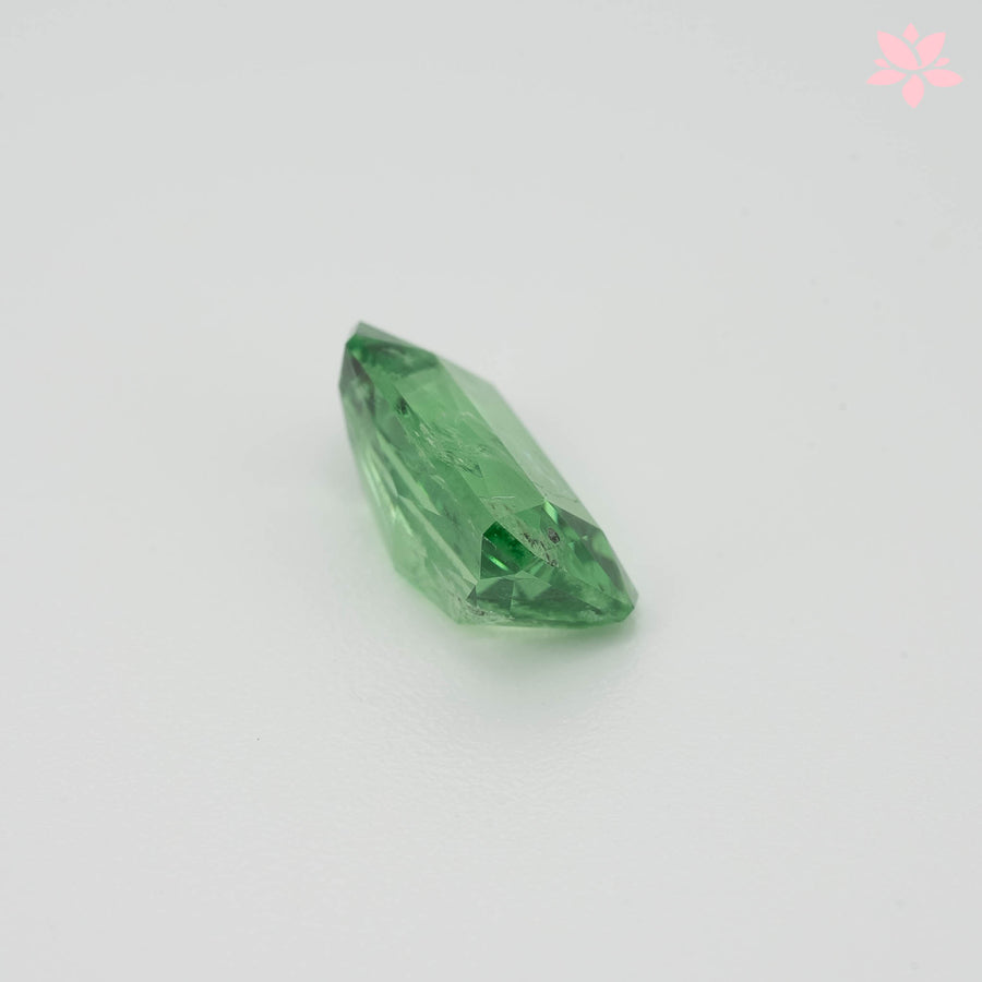 NATURAL TSAVORITE | 1.98 CT | GREEN | OCTAGONAL
