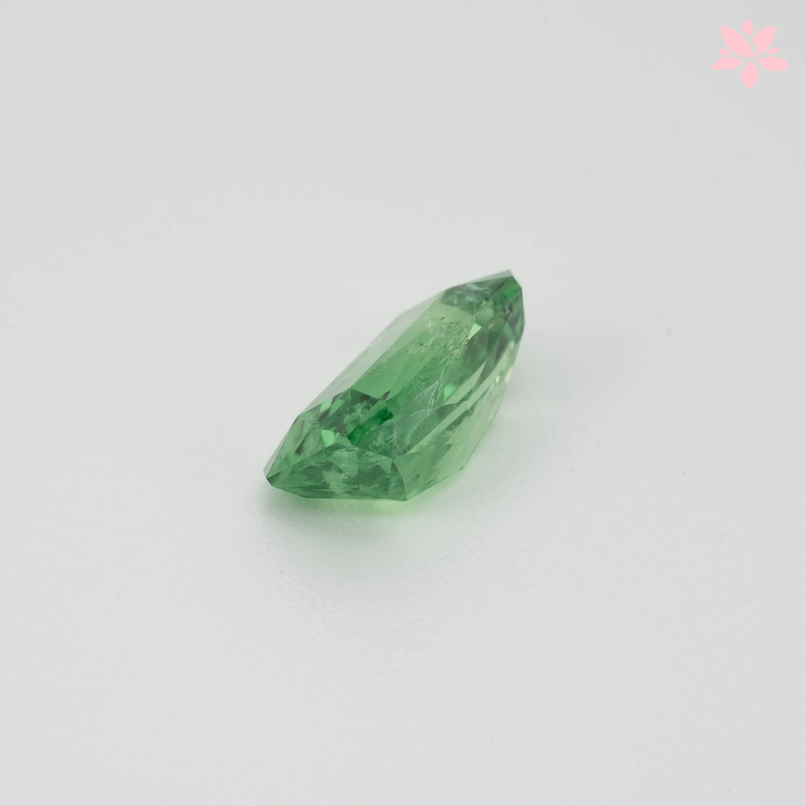 NATURAL TSAVORITE | 1.98 CT | GREEN | OCTAGONAL