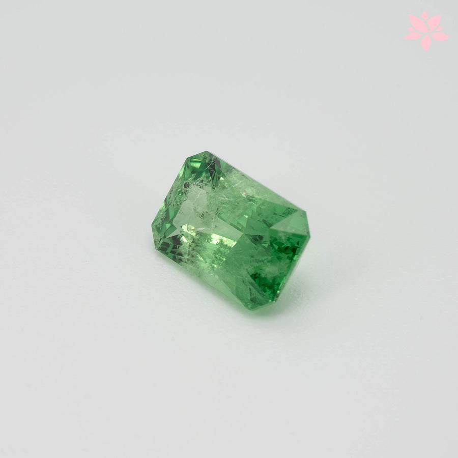 NATURAL TSAVORITE | 1.98 CT | GREEN | OCTAGONAL