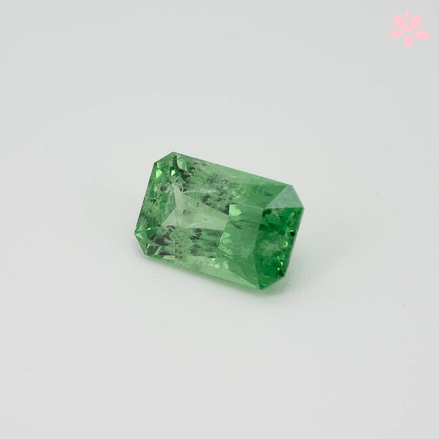 NATURAL TSAVORITE | 1.98 CT | GREEN | OCTAGONAL