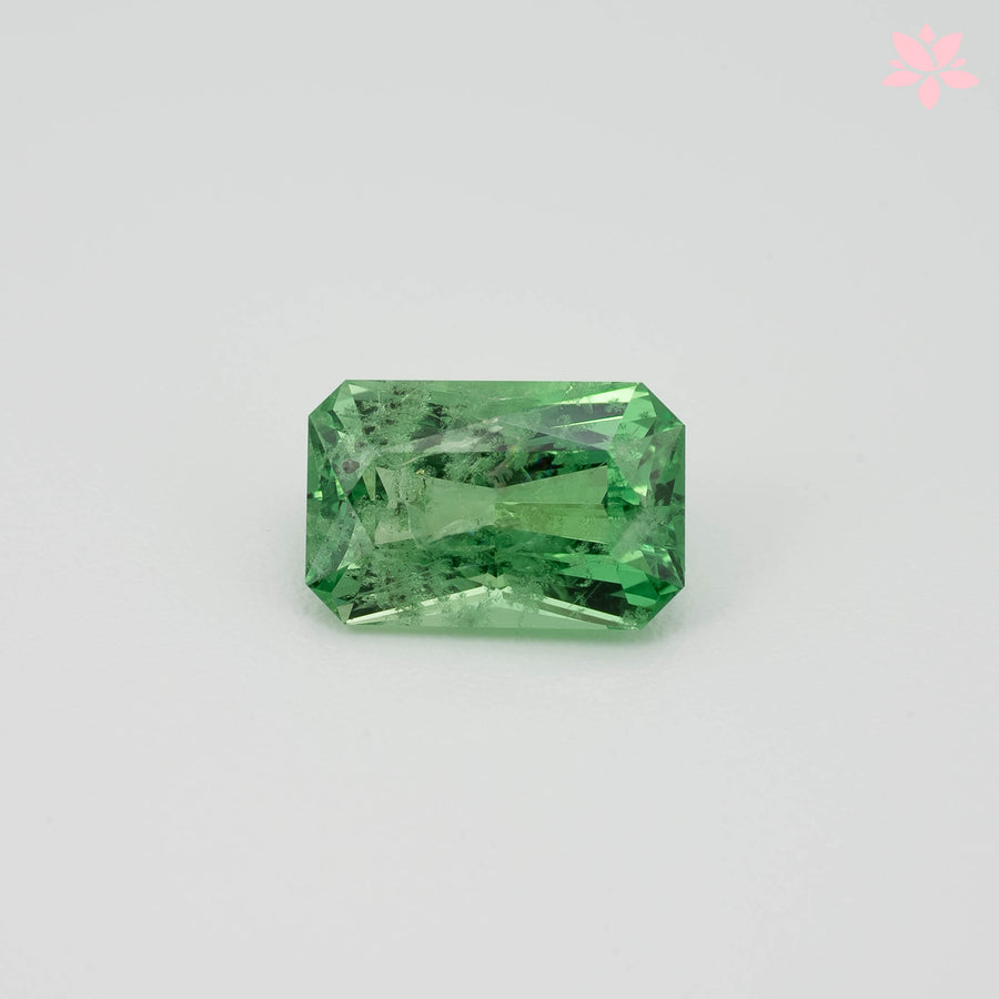 NATURAL TSAVORITE | 1.98 CT | GREEN | OCTAGONAL