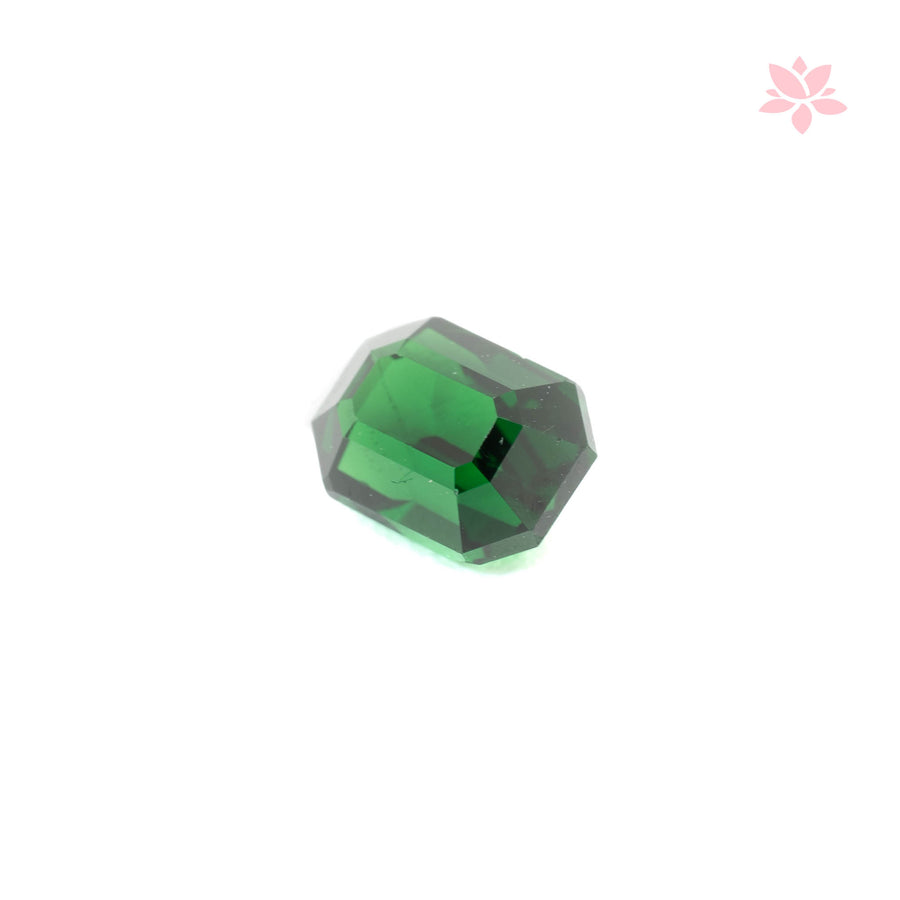 NATURAL TSAVORITE | 1.03 CT | VIVID GREEN | OCTAGONAL