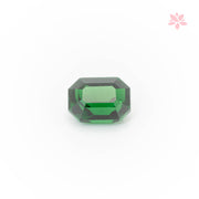 NATURAL TSAVORITE | 1.03 CT | VIVID GREEN | OCTAGONAL