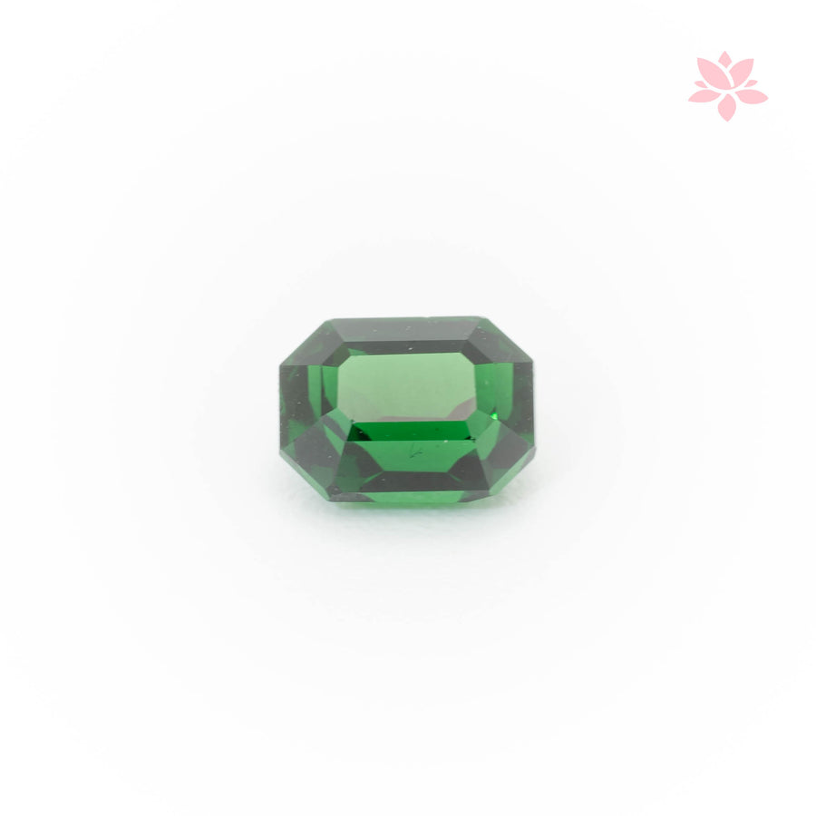 NATURAL TSAVORITE | 1.03 CT | VIVID GREEN | OCTAGONAL