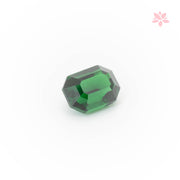 NATURAL TSAVORITE | 1.03 CT | VIVID GREEN | OCTAGONAL