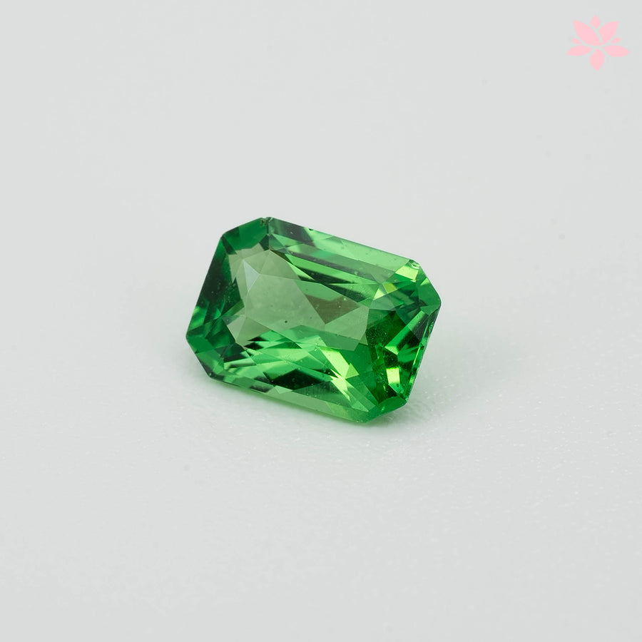 NATURAL TSAVORITE | 0.64 CT | VIVID GREEN | OCTAGONAL