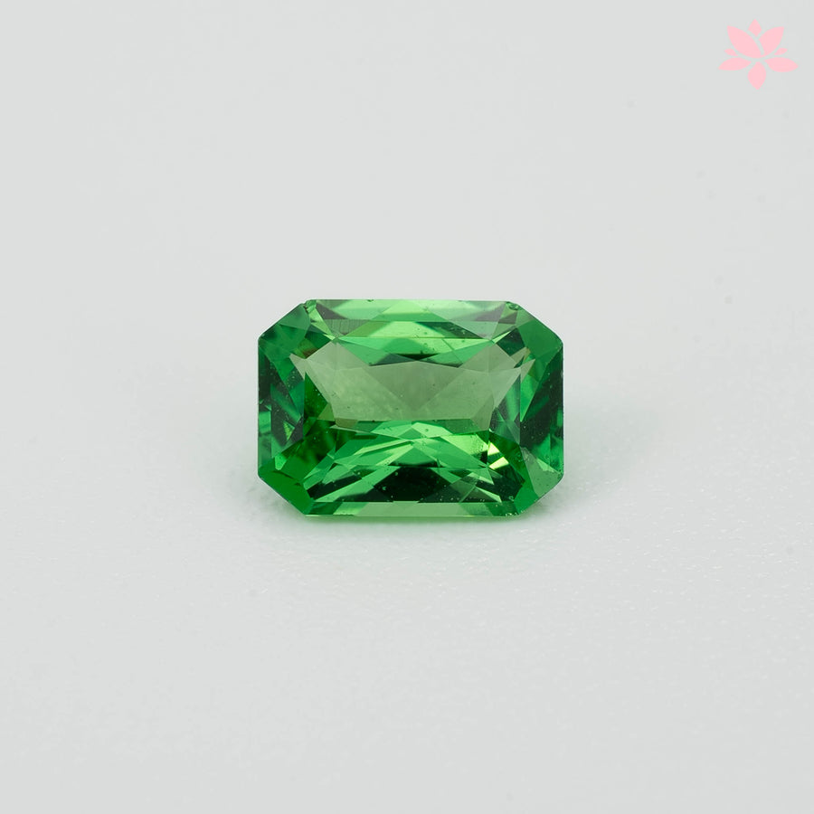 NATURAL TSAVORITE | 0.64 CT | VIVID GREEN | OCTAGONAL