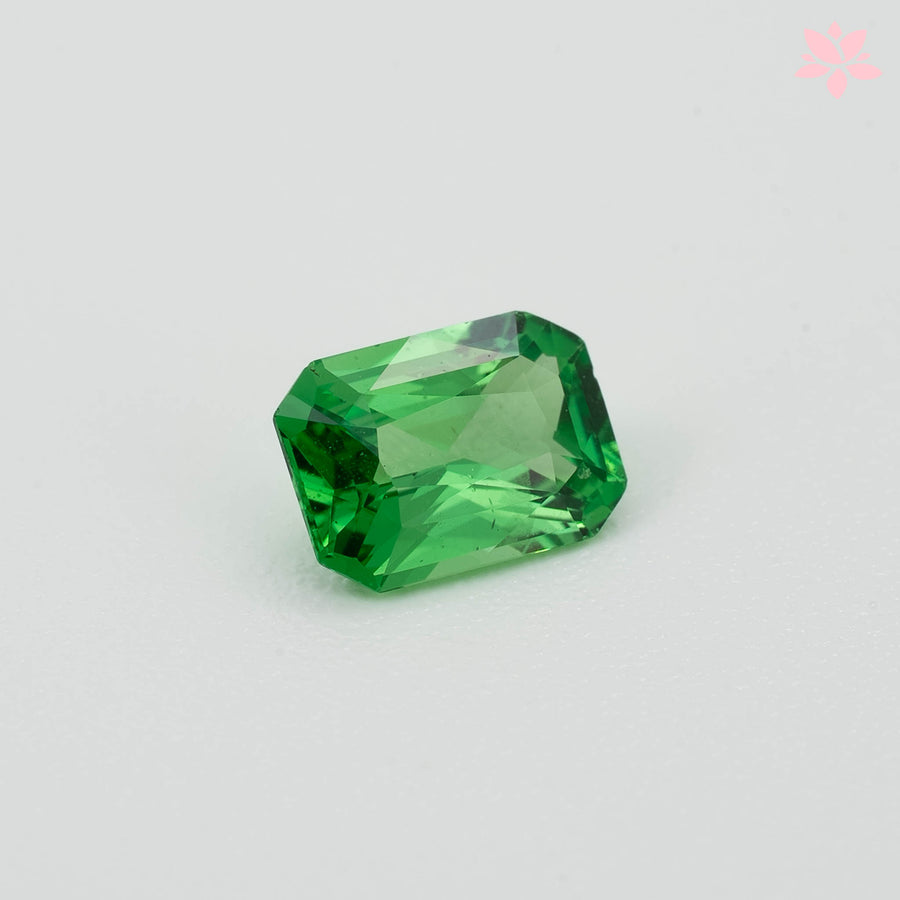 NATURAL TSAVORITE | 0.64 CT | VIVID GREEN | OCTAGONAL
