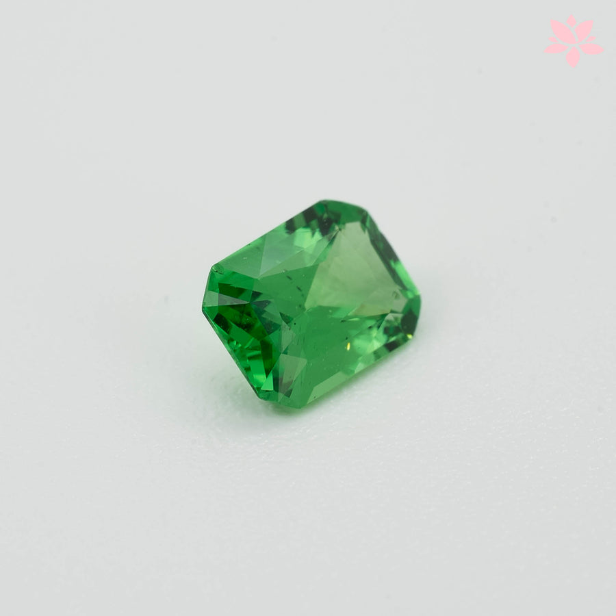 NATURAL TSAVORITE | 0.64 CT | VIVID GREEN | OCTAGONAL