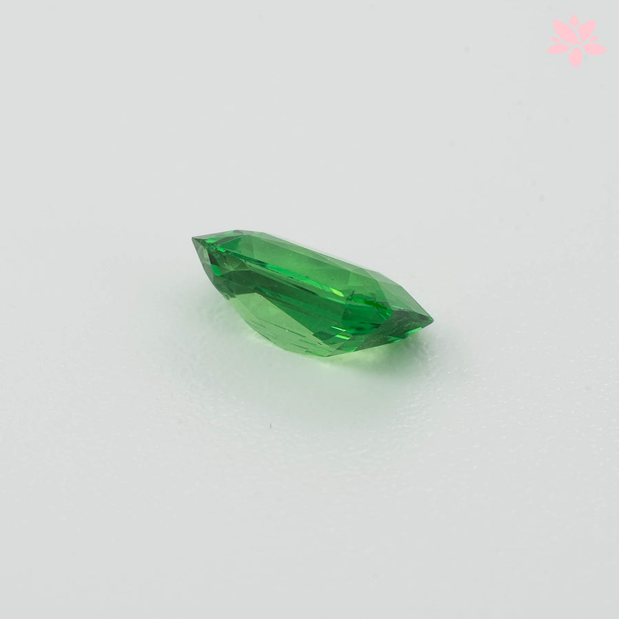 NATURAL TSAVORITE | 0.64 CT | VIVID GREEN | OCTAGONAL