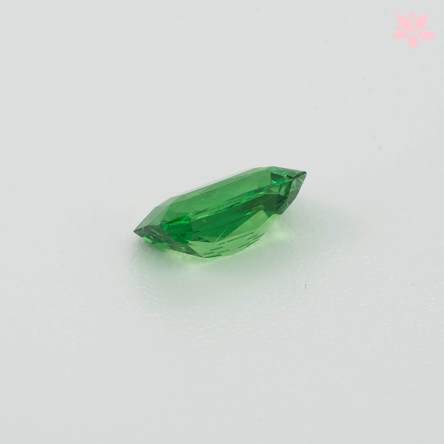 NATURAL TSAVORITE | 0.64 CT | VIVID GREEN | OCTAGONAL
