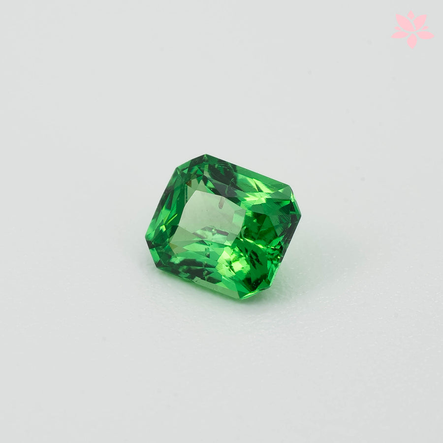 NATURAL TSAVORITE | 0.88 CT | VIVID GREEN | OCTAGONAL