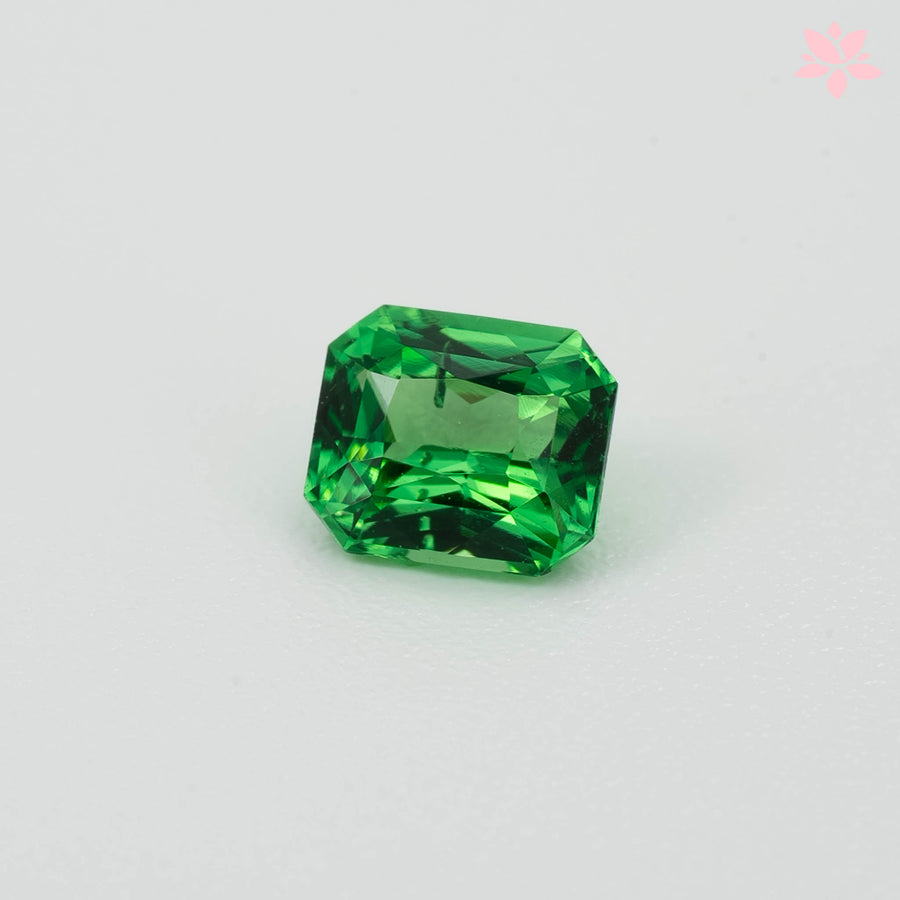 NATURAL TSAVORITE | 0.88 CT | VIVID GREEN | OCTAGONAL