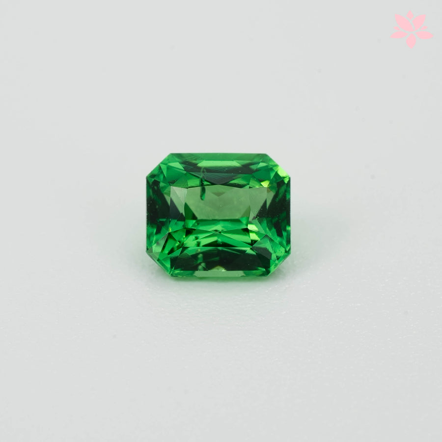 NATURAL TSAVORITE | 0.88 CT | VIVID GREEN | OCTAGONAL