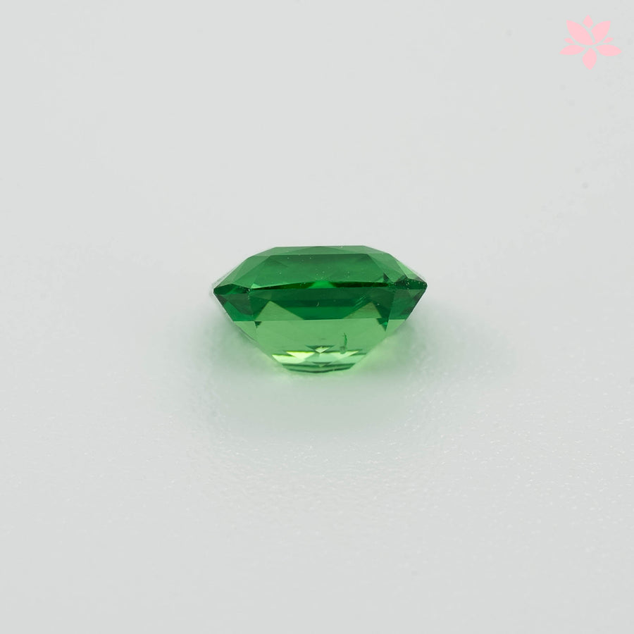 NATURAL TSAVORITE | 0.88 CT | VIVID GREEN | OCTAGONAL