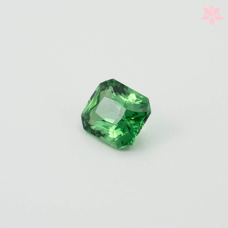 NATURAL TSAVORITE | 0.71 CT | VIVID GREEN | OCTAGONAL