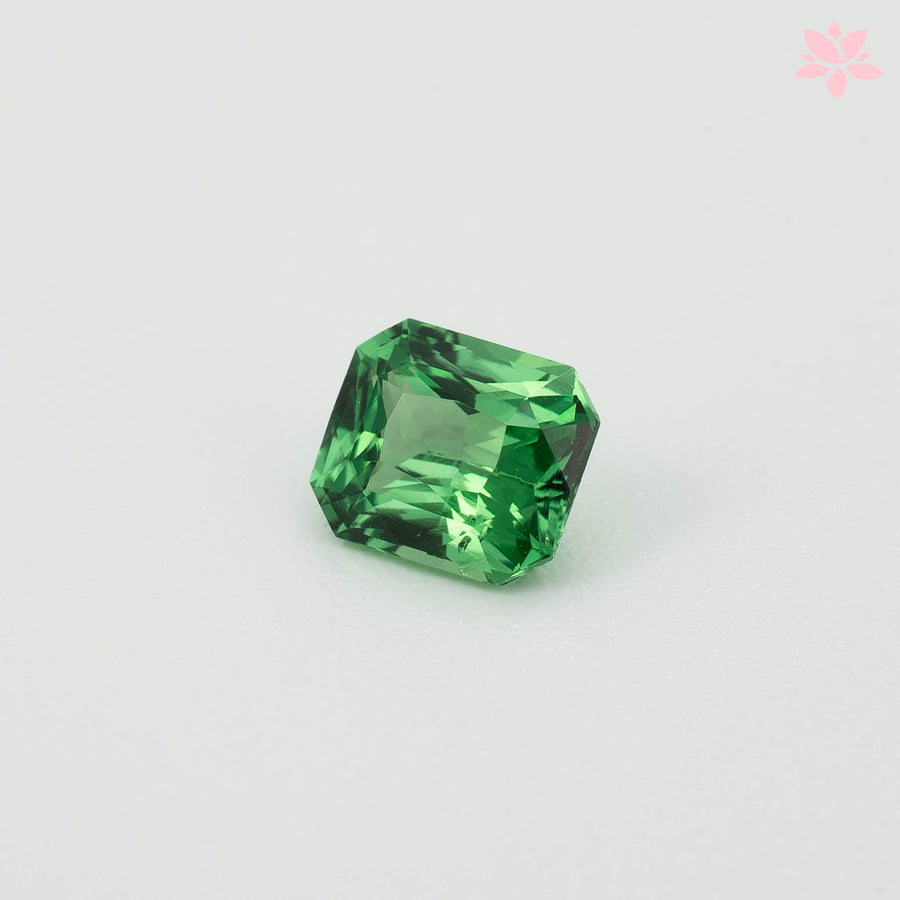 NATURAL TSAVORITE | 0.71 CT | VIVID GREEN | OCTAGONAL