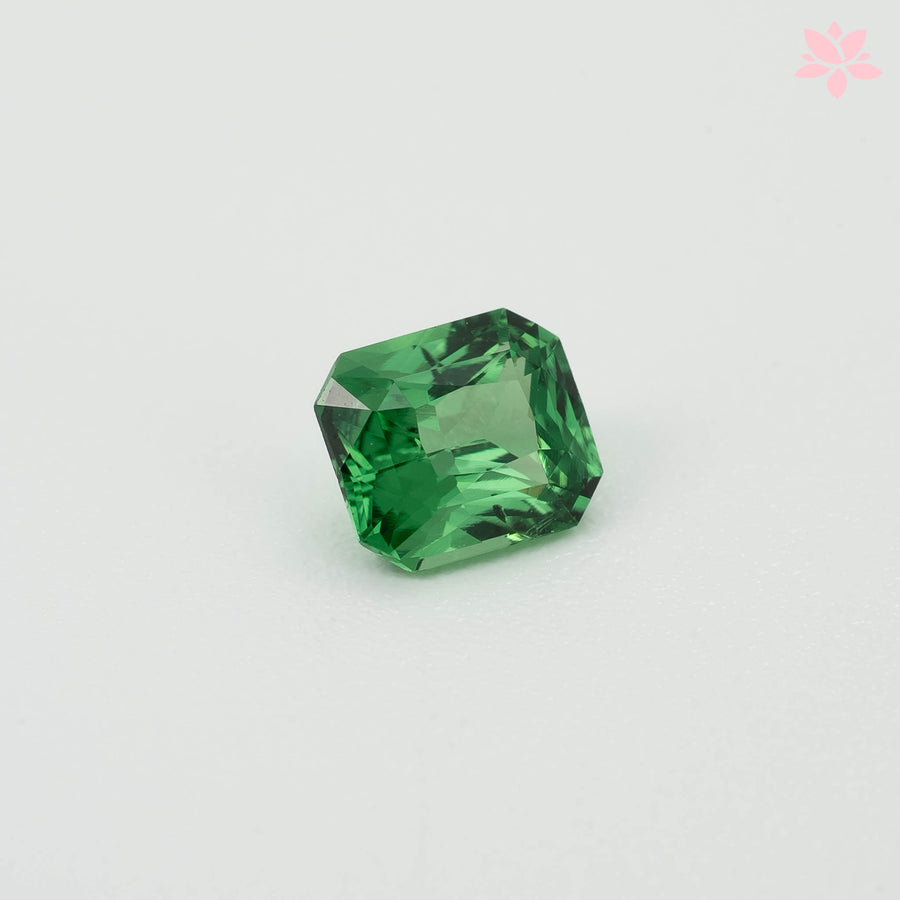 NATURAL TSAVORITE | 0.71 CT | VIVID GREEN | OCTAGONAL
