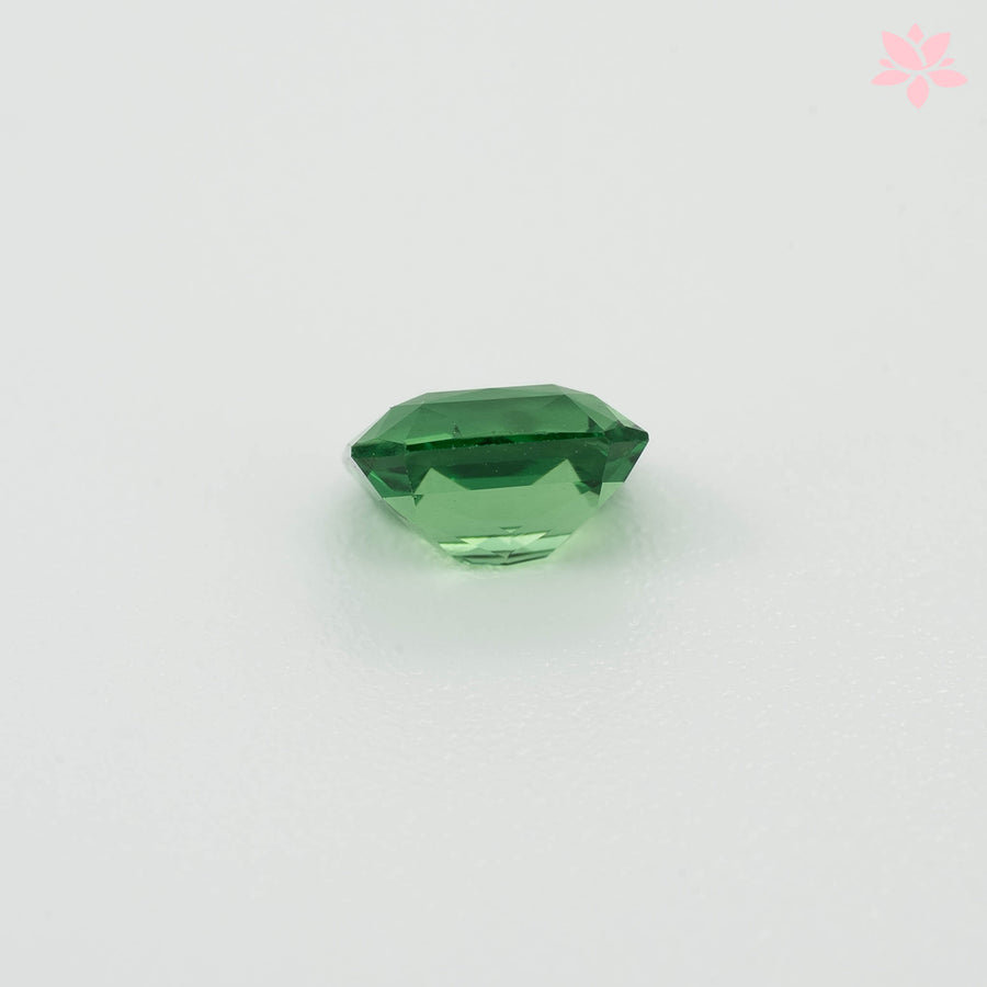 NATURAL TSAVORITE | 0.71 CT | VIVID GREEN | OCTAGONAL