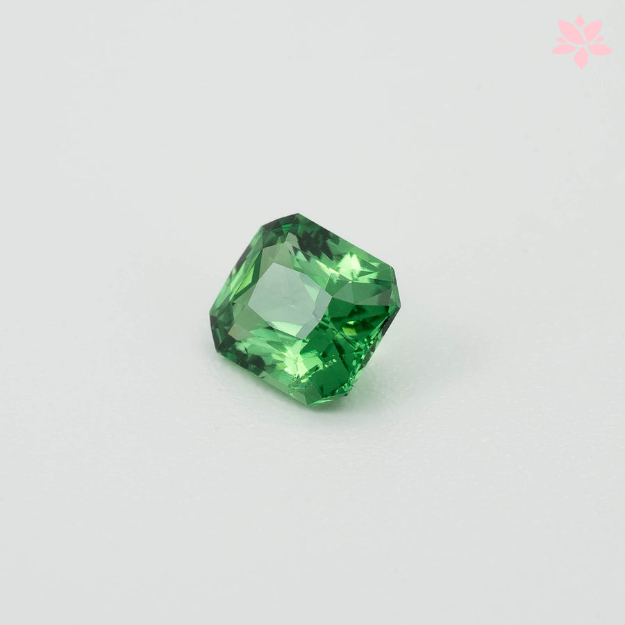 NATURAL TSAVORITE | 0.71 CT | VIVID GREEN | OCTAGONAL