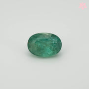 NATURAL EMERALD | 1.62 CT | GREEN | OVAL