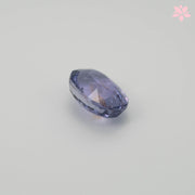 NATURAL CEYLON SAPPHIRE | 1.04 CT | LAVENDER | OVAL