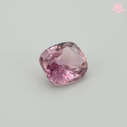 NATURAL PADPARADSCHA SAPPHIRE | 1.06 CT | ORANGISH PINK | CUSHION