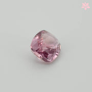 NATURAL PADPARADSCHA SAPPHIRE | 1.06 CT | ORANGISH PINK | CUSHION
