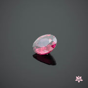 NATURAL RHODOLITE GARNET | 3.15 CT | PINK RED | ROUND