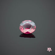 NATURAL RHODOLITE GARNET | 3.15 CT | PINK RED | ROUND
