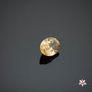 NATURAL ZIRCON | 1.83 CT | YELLOW | OVAL