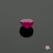 NATURAL MOZANBIQUE RUBY | 2.79 CT | RED | OVAL