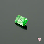 NATURAL TSAVORITE | 1.98 CT | GREEN | OCTAGONAL