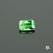NATURAL TSAVORITE | 1.98 CT | GREEN | OCTAGONAL