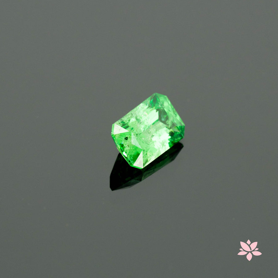 NATURAL TSAVORITE | 1.98 CT | GREEN | OCTAGONAL