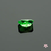 NATURAL TSAVORITE | 1.98 CT | GREEN | OCTAGONAL