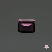 NATURAL SPINEL | 1.66 CT | PURPLE | OCTAGONAL