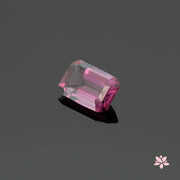 NATURAL SPINEL | 1.66 CT | PURPLE | OCTAGONAL