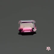 NATURAL SPINEL | 1.66 CT | PURPLE | OCTAGONAL