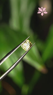 NATURAL CEYLON SAPPHIRE | 1.24 CT | YELLOW | OCTAGONAL