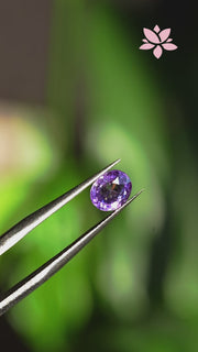 NATURAL CEYLON SAPPHIRE | 1.04 CT | VIVID VIOLET | OVAL