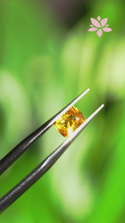 NATURAL CEYLON SAPPHIRE | 1.05 CT | CANARY YELLOW | CUSHION