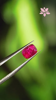 NATURAL MADAGASCAR RUBY | 1.72 CT | RED | CUSHION