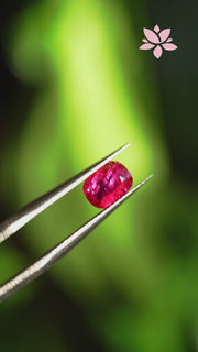 NATURAL TANZANIAN RUBY | 1.20 CT | RED | CUAHION