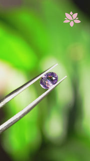 NATURAL CEYLON SAPPHIRE | 1.04 CT | LAVENDER | OVAL