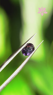NATURAL CEYLON SAPPHIRE | 1.04 CT | VIOLET | OVAL