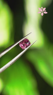 NATURAL PADPARADSCHA SAPPHIRE | 1.06 CT | ORANGISH PINK | CUSHION