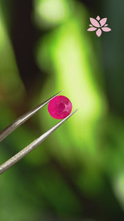 NATURAL MOZANBIQUE RUBY | 2.79 CT | RED | OVAL